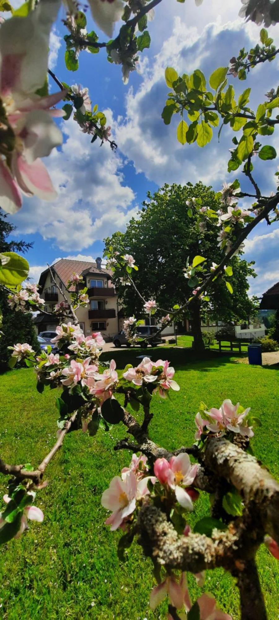 Hotel Gasthof Jaegerhaus แซงค์ตปีเทอร์ ภายนอก รูปภาพ